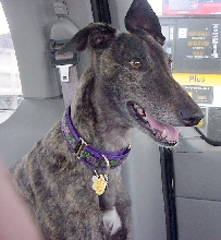Miss P in Van