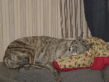 Nancy with her new pillow