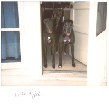 Pansy and Kate
