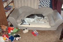 Katie in Willow's bed