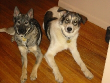 My babies