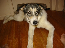 Here is my other baby