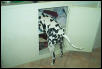 Wheres my ball?
