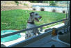 Let me in!