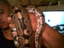 1472 g and growing