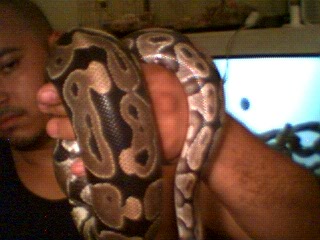 1472 g and growing