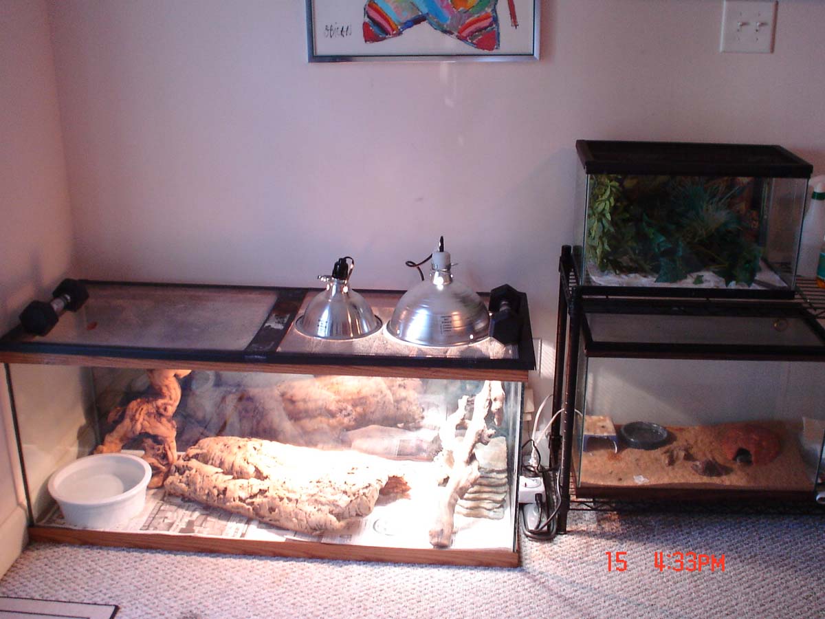 New BP home.  Leo and Green Sake on the side