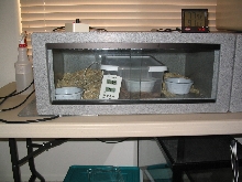 childreni maternal incubation setup