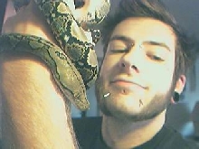 4 ft retic.