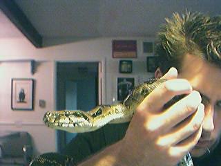 head of boa to ID