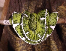 0.1. Corallus Batesii