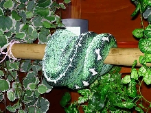 CC basin