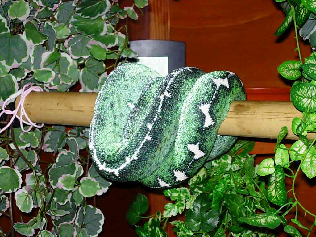 CC basin