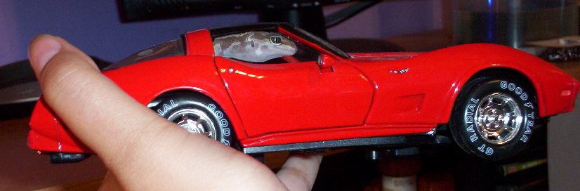driving