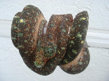 blue mite phase