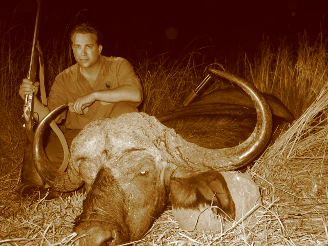 cape buffalo