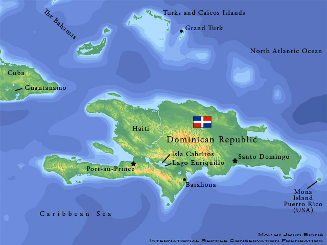 Rock Iguanas of The Dominican Republic