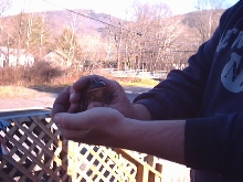 It was a nice frog