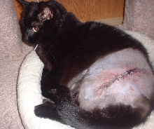 2nd surgery
