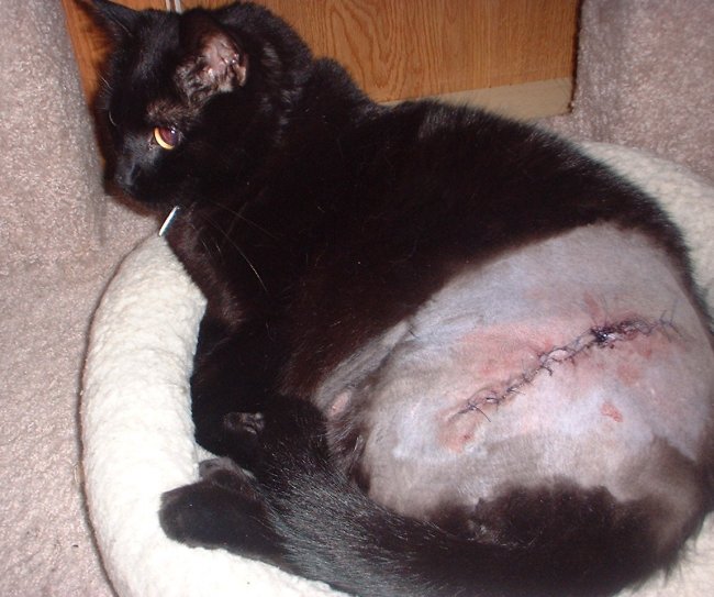 2nd surgery