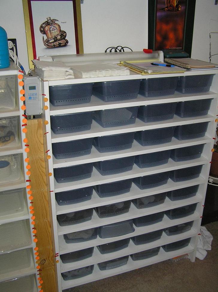 racks