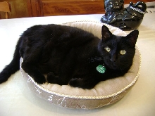 8-29-07 Munchkin