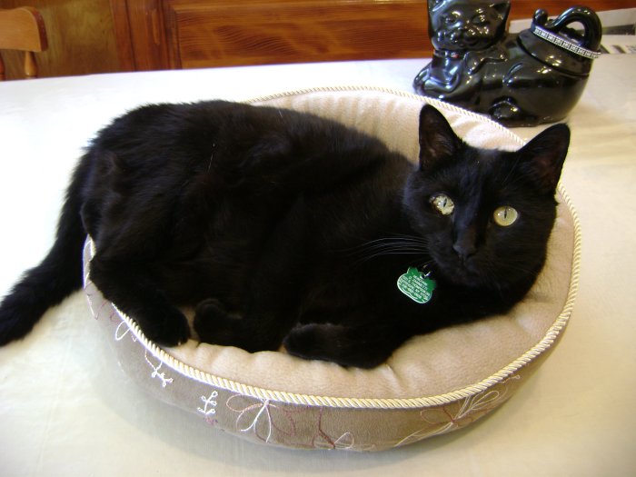 8-29-07 Munchkin