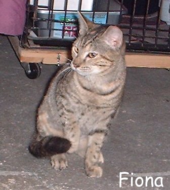 fiona