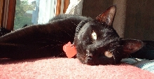casey eyes