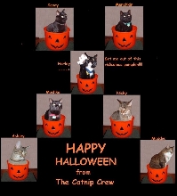 halloween collage