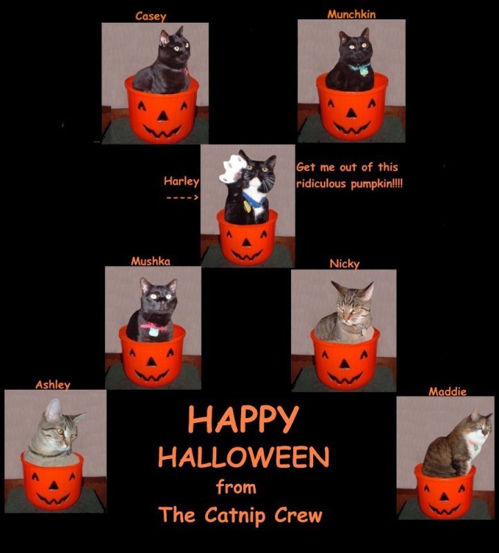 halloween collage