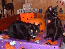 m c halloween
