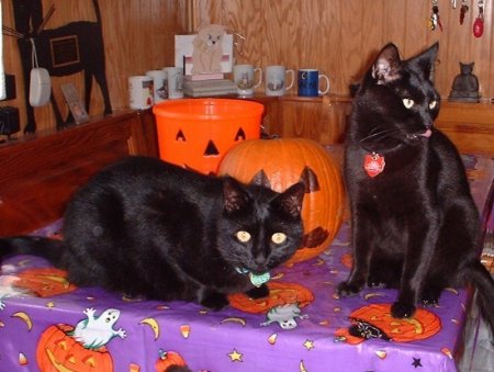 m c halloween