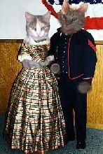 meadow and  beau civil war