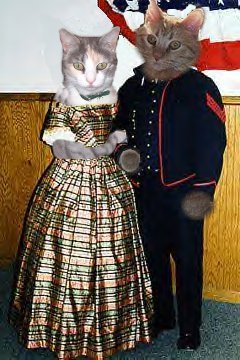 meadow and  beau civil war