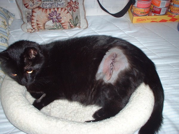 munch surgery