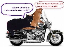 munchcycle2