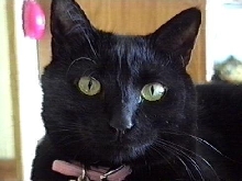 munchie eyes