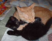 riley n lil munch