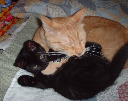riley n lil munch