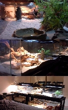 New Aquaflame Cage