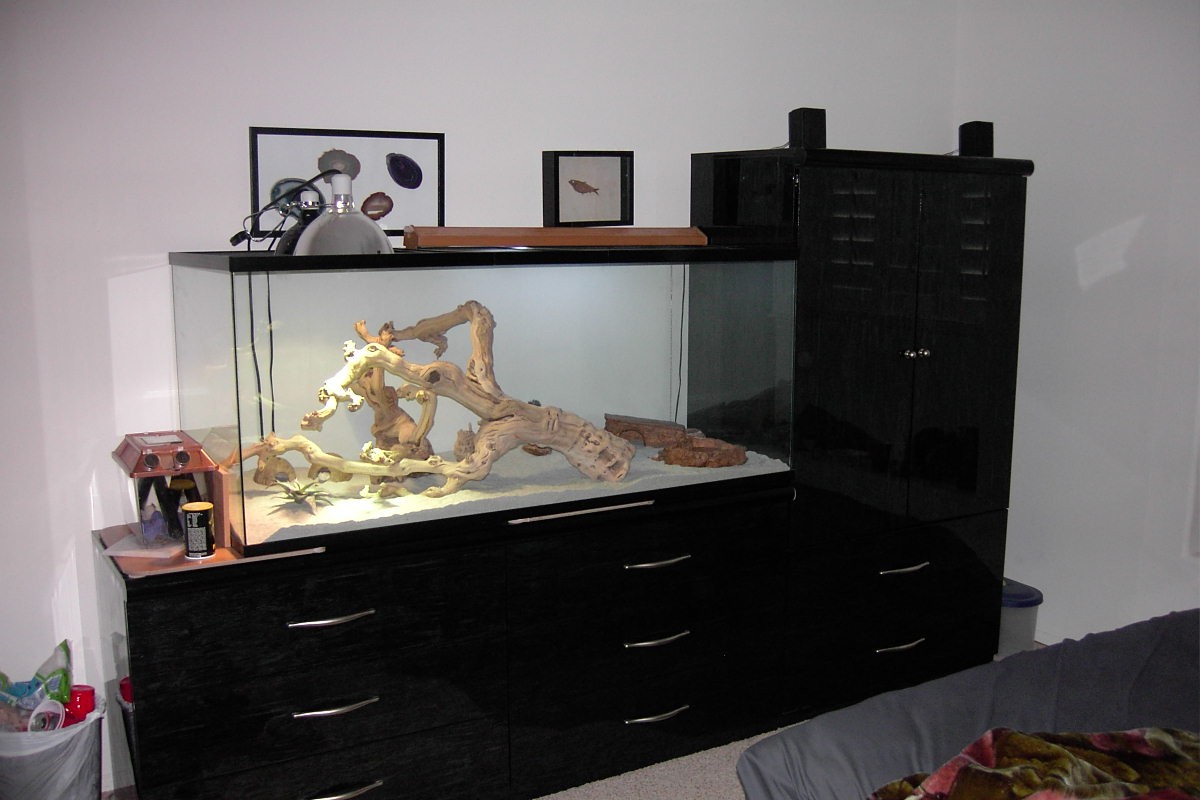 My collareds cage.