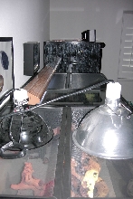 My cage lighting.