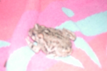 What is this!