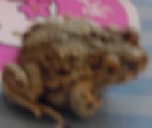 Can you ID