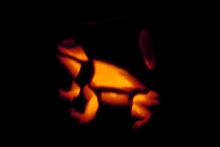 Pumpkin Lit Up!