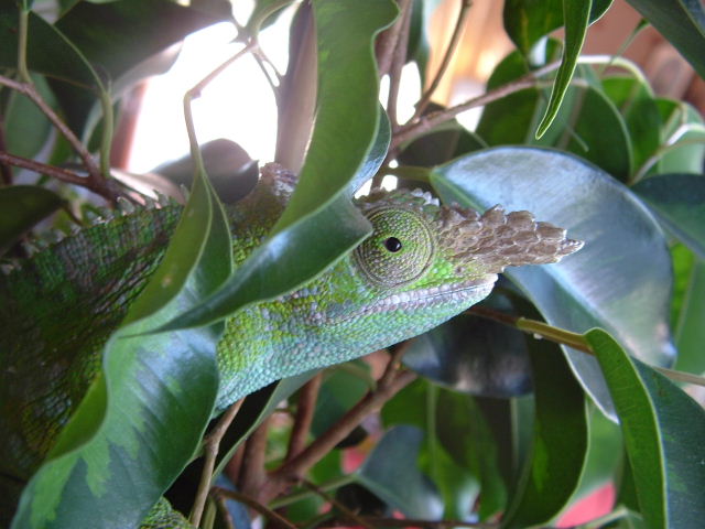 jeremy