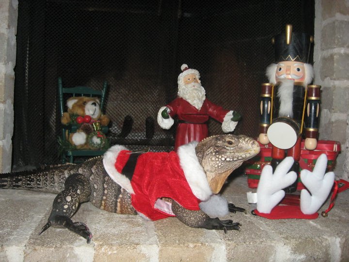 Christmas Kismet 2