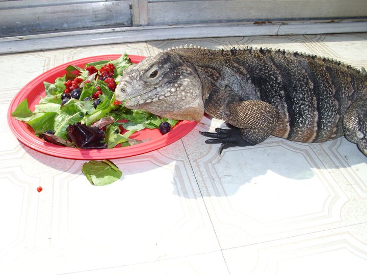 Birthday girl enjoying breakfast