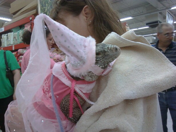 at the costume contest 2